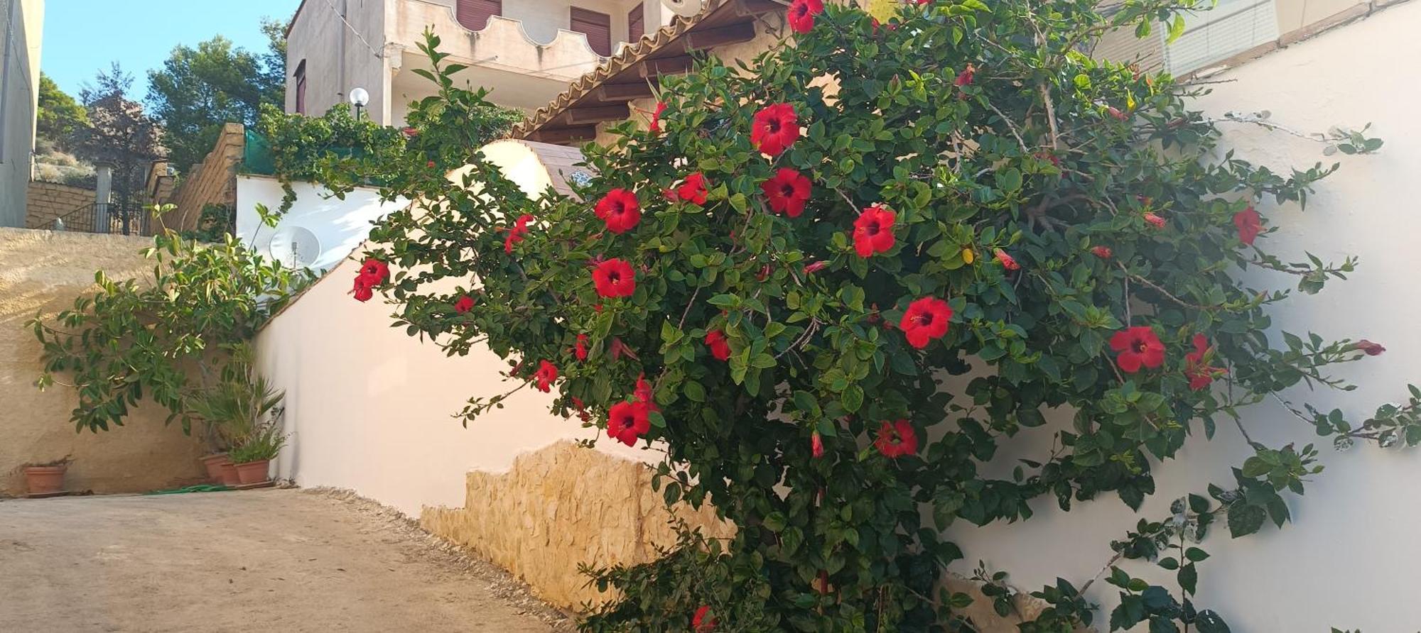 Al Faro Acomodação com café da manhã Realmonte Exterior foto